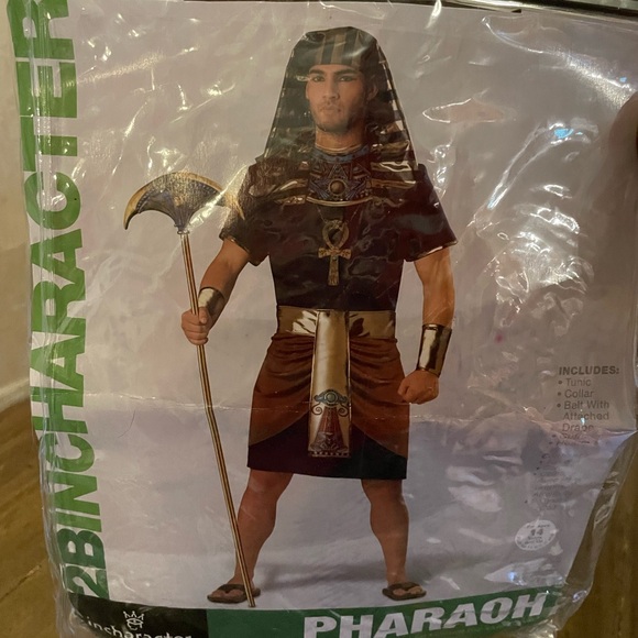In Character Pharaoh Halloween Costume NWT - Picture 9 of 10